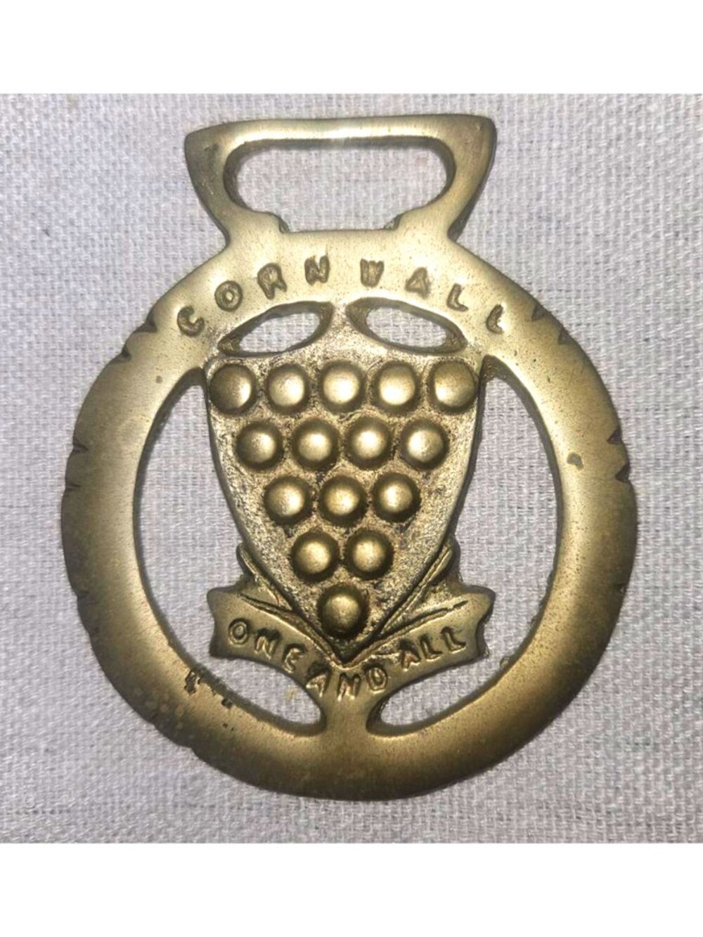 Cornwall County Insignia Antique Horse Brass Medallion Rare Equine Collectible - Picture 4 of 6